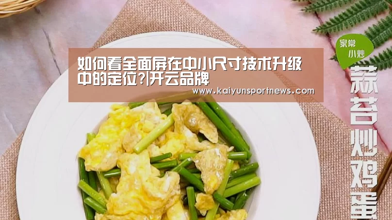 如何看全面屏在中小尺寸技术升级中的定位?|开云品牌(图2) 开云官网