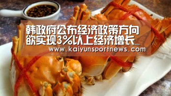 韩政府公布经济政策方向 欲实现3%以上经济增长_开云数据(图3) 开云品牌