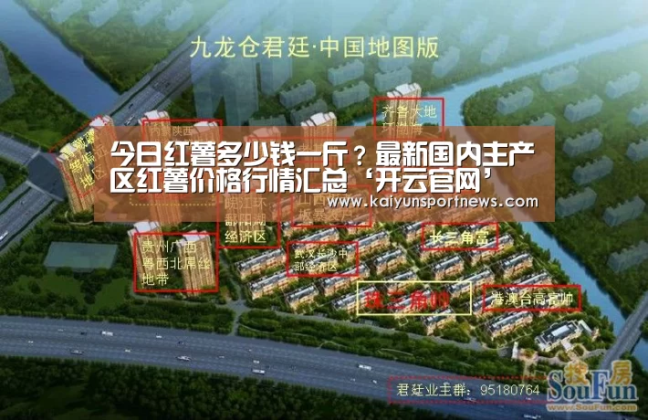 开云官网