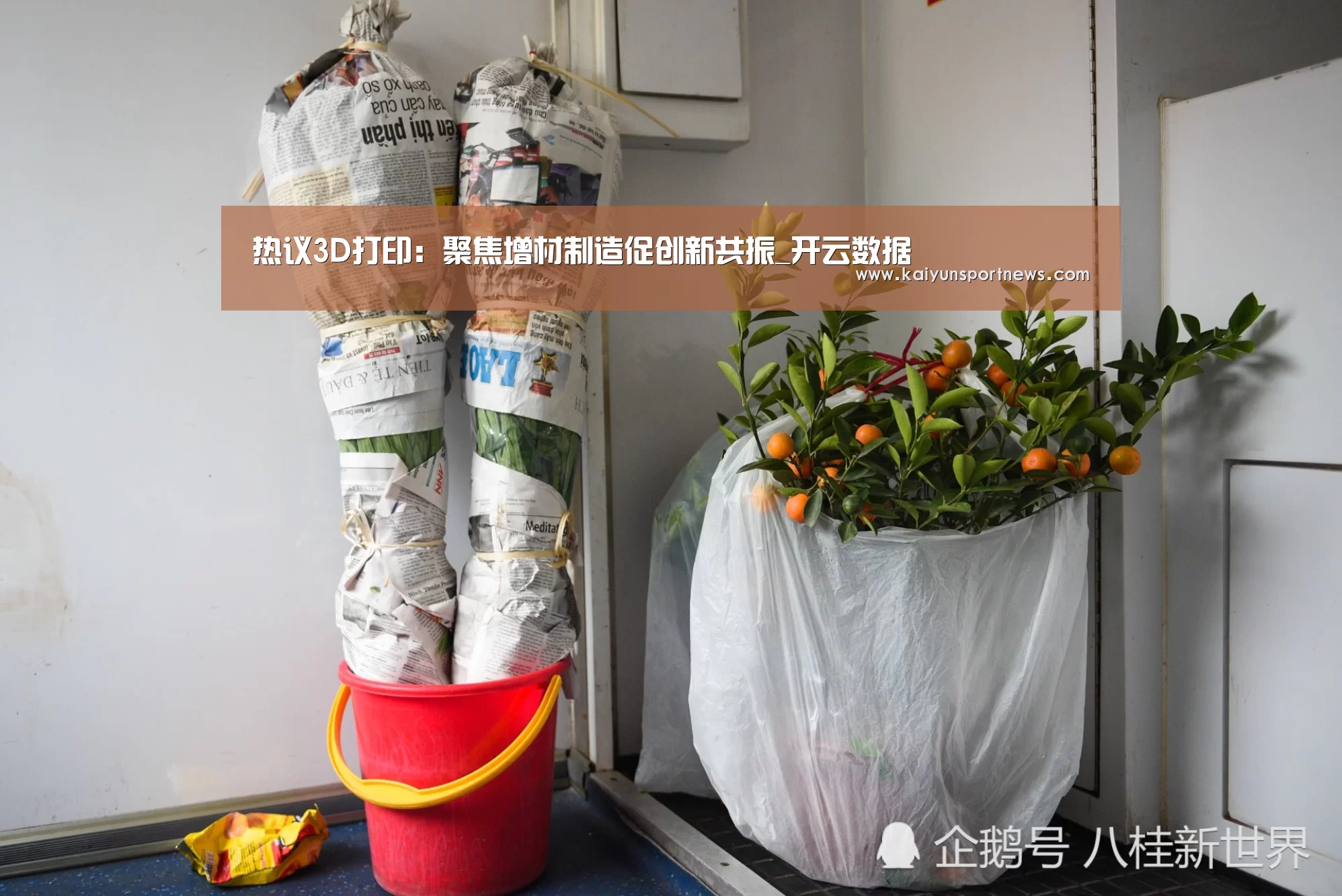 开云品牌