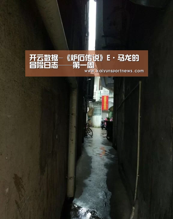 开云数据