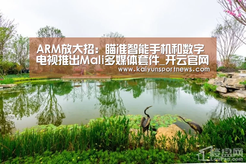 ARM放大招:瞄准智能手机和数字电视推出Mali多媒体套件_开云官网(图3) 开云品牌